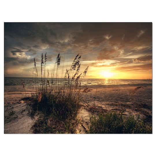 Designart - Grassy and beach sunset